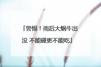 警惕！雨后大蜗牛出没 不能碰更不能吃