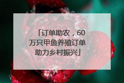 订单助农，60万只甲鱼养殖订单助力乡村振兴