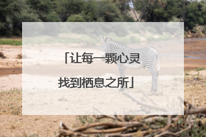 让每一颗心灵找到栖息之所