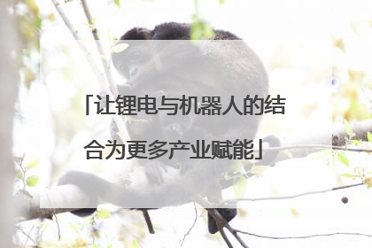 让锂电与机器人的结合为更多产业赋能