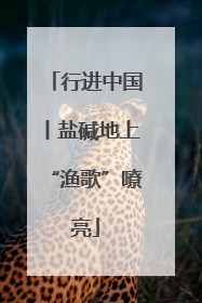 行进中国丨盐碱地上“渔歌”嘹亮