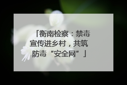 衡南检察：禁毒宣传进乡村，共筑防毒“安全网”