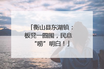 衡山县东湖镇：板凳一圈围，民意“唠”明白！