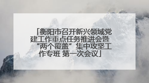 衡阳市召开新兴领域党建工作重点任务推进会暨“两个覆盖”集中攻坚工作专班 第一次会议