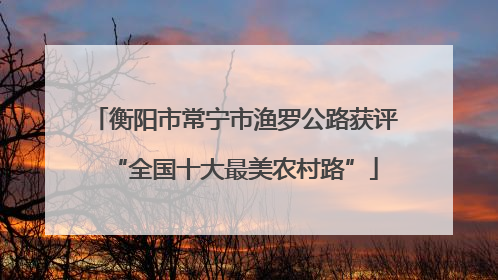 衡阳市常宁市渔罗公路获评“全国十大最美农村路”