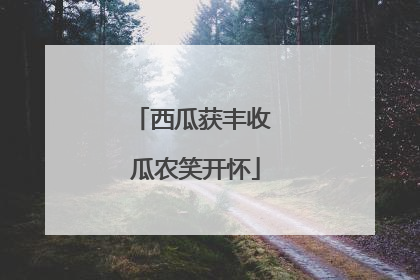 西瓜获丰收 瓜农笑开怀