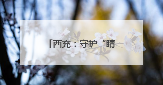 西充：守护“睛”彩童年 共享美丽“视”界