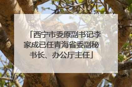 西宁市委原副书记李家成已任青海省委副秘书长、办公厅主任