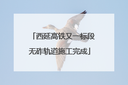 西延高铁又一标段无砟轨道施工完成