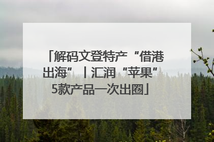 解码文登特产“借港出海”丨汇润“苹果”5款产品一次出圈