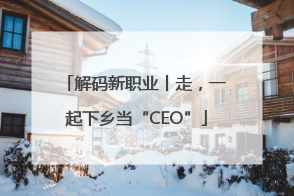 解码新职业丨走，一起下乡当“CEO”