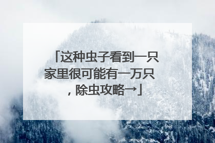 这种虫子看到一只家里很可能有一万只，除虫攻略→