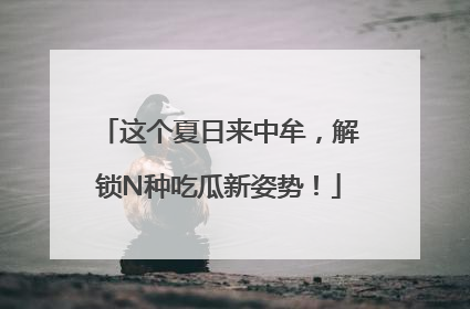 这个夏日来中牟，解锁N种吃瓜新姿势！