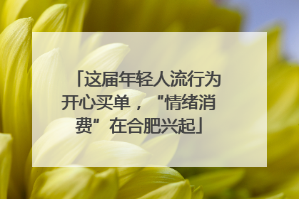 这届年轻人流行为开心买单，“情绪消费”在合肥兴起