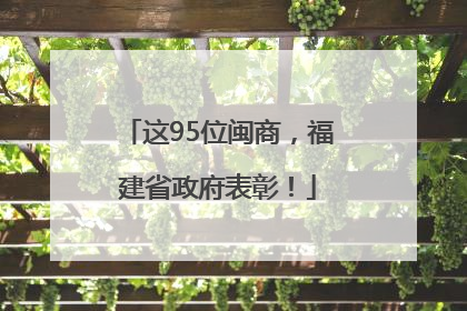 这95位闽商，福建省政府表彰！