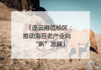 连云港赣榆区：推动海苔老产业向“新”发展