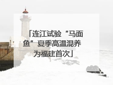 连江试验“马面鱼”夏季高温混养 为福建首次