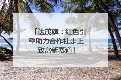 达茂旗：红色引擎助力合作社走上致富新赛道
