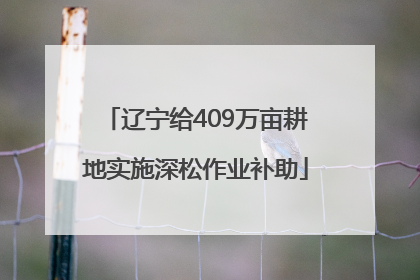 辽宁给409万亩耕地实施深松作业补助