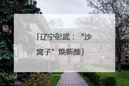 辽宁彰武：“沙窝子”焕新颜