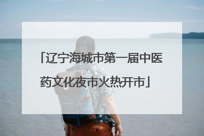 辽宁海城市第一届中医药文化夜市火热开市