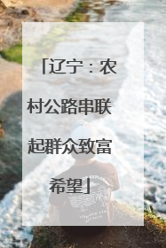 辽宁：农村公路串联起群众致富希望