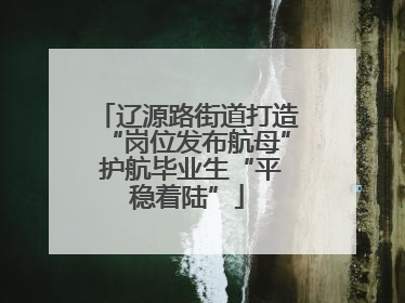 辽源路街道打造“岗位发布航母” 护航毕业生“平稳着陆”