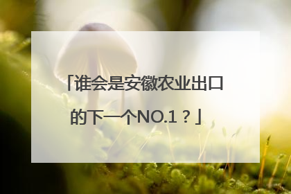 谁会是安徽农业出口的下一个NO.1？