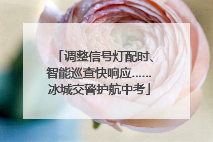 调整信号灯配时、智能巡查快响应……冰城交警护航中考