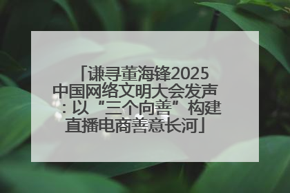 谦寻董海锋2025中国网络文明大会发声：以“三个向善”构建直播电商善意长河