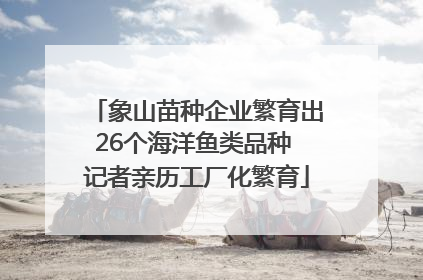 象山苗种企业繁育出26个海洋鱼类品种 记者亲历工厂化繁育