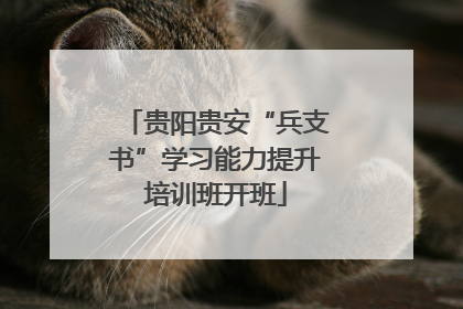 贵阳贵安“兵支书”学习能力提升培训班开班