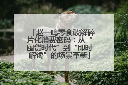 赵一鸣零食破解碎片化消费密码：从“囤货时代”到“即时解馋”的场景革新