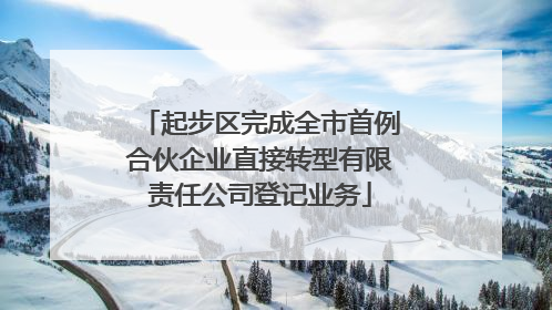 起步区完成全市首例合伙企业直接转型有限责任公司登记业务