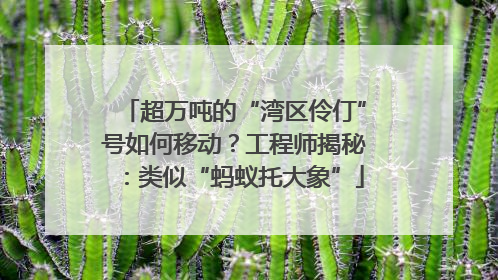 超万吨的“湾区伶仃”号如何移动？工程师揭秘：类似“蚂蚁托大象”