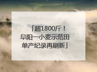 超1800斤！阜阳一小麦示范田单产纪录再刷新