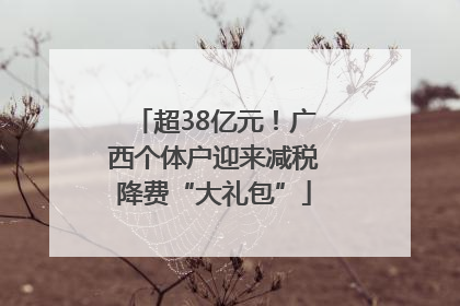 超38亿元！广西个体户迎来减税降费“大礼包”