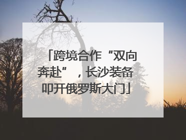 跨境合作“双向奔赴”，长沙装备叩开俄罗斯大门