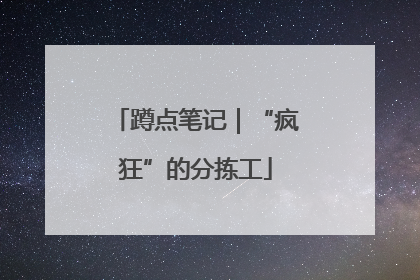 蹲点笔记｜“疯狂”的分拣工