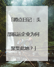 蹲点日记：头部航运企业为何聚集此地？