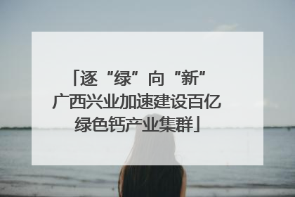 逐“绿”向“新” 广西兴业加速建设百亿绿色钙产业集群