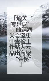 通关“零延误”：曲靖海关会泽集中查检工作站为云品出海架“金桥”