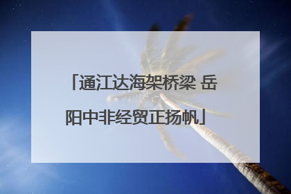 通江达海架桥梁 岳阳中非经贸正扬帆