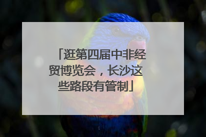 逛第四届中非经贸博览会，长沙这些路段有管制