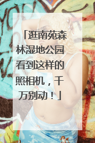 逛南苑森林湿地公园看到这样的照相机，千万别动！