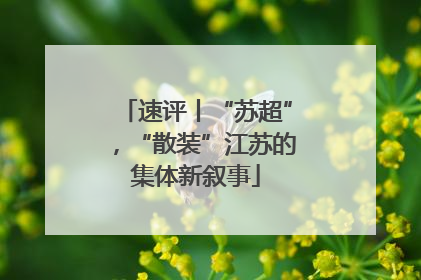 速评丨“苏超”，“散装”江苏的集体新叙事