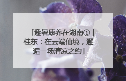 避暑康养在湖南①｜桂东：在云端仙境，邂逅一场清凉之约