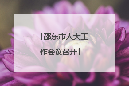 邵东市人大工作会议召开