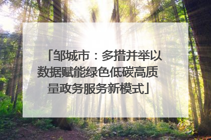 邹城市：多措并举以数据赋能绿色低碳高质量政务服务新模式