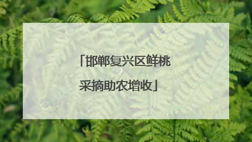 邯郸复兴区鲜桃采摘助农增收